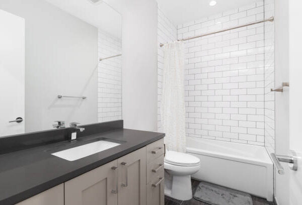 Professional Bathroom Remodeling in Calabasas, CA 